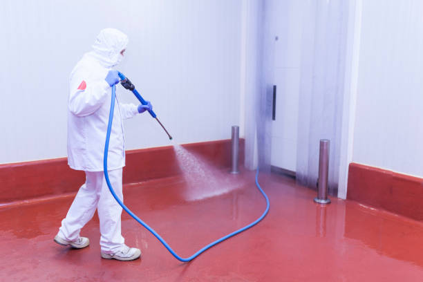 Best Dumpster Area Cleaning  in North Pole, AK